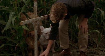Movie still from “Secondhand Lions” (2003), directed by Tim McCanlies – A person petting a small white dog in a field; Medium shot, High angle