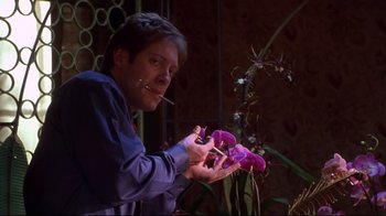 Movie still from “Secretary” (2002), directed by Steven Shainberg – A man smoking a cigarette while holding a purple flower; Medium shot, Low angle