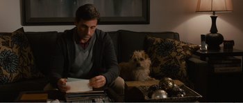 Movie still from “Seeking a Friend for the End of the World” (2012), directed by Lorene Scafaria – A man sitting on a couch with a dog on his lap; Medium shot, Over the shoulder angle