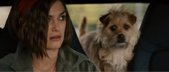 Movie still from “Seeking a Friend for the End of the World” (2012), directed by Lorene Scafaria – A woman sitting in a car next to a small dog; Close Up shot, Over the shoulder angle