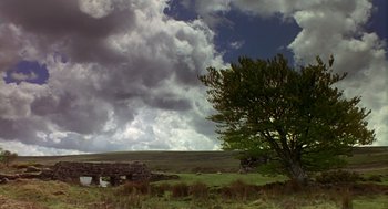 Movie still from “Sense and Sensibility” (1995), directed by Ang Lee – A tree in the middle of a field under a cloudy sky; Extreme Wide shot, Low angle