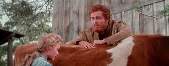 Movie still from “Seven Brides for Seven Brothers” (1954), directed by Stanley Donen – A man and a boy petting a cow; Medium shot, Over the shoulder angle