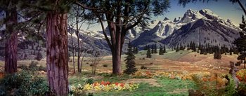Movie still from “Seven Brides for Seven Brothers” (1954), directed by Stanley Donen – A painting of a tree in the middle of a field with mountains in the background; Extreme Wide shot, High angle