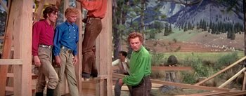 Movie still from “Seven Brides for Seven Brothers” (1954), directed by Stanley Donen – A man in a green shirt and brown pants standing next to a wooden structure; Medium shot, Low angle