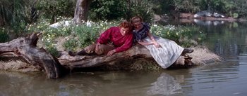 Movie still from “Seven Brides for Seven Brothers” (1954), directed by Stanley Donen – A man and a woman sitting on a tree branch; Wide shot, High angle