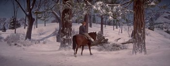 Movie still from “Seven Brides for Seven Brothers” (1954), directed by Stanley Donen – A man riding on the back of a brown horse through a snowy forest; Wide shot, High angle