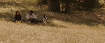 Movie still from “Seven Pounds” (2008), directed by Gabriele Muccino – A man and a dog in a grassy field; Wide shot, High angle