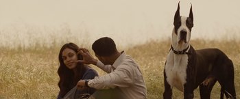 Movie still from “Seven Pounds” (2008), directed by Gabriele Muccino – A man and a woman sitting in the grass; Medium shot, Over the shoulder angle