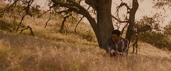 Movie still from “Seven Pounds” (2008), directed by Gabriele Muccino – A man sitting in the grass under a tree; Wide shot, Over the shoulder angle