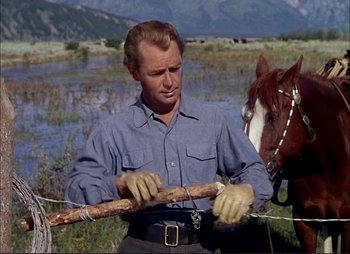 Movie still from “Shane” (1953), directed by George Stevens – A man holding a stick while standing next to a horse; Medium shot, Low angle