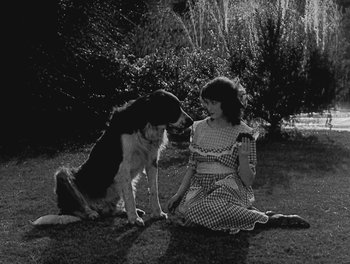 Movie still from “Sherlock Jr.” (1924), directed by Buster Keaton – A black and white photo of a woman and a dog; Medium shot, High angle