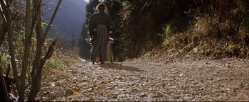 Movie still from “Shogun Assassin” (1980), directed by Kenji Misumi – A man walking down a dirt road near a wooded area; Wide shot, High angle