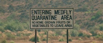 Movie still from “Short Cuts” (1993), directed by Robert Altman – A sign that is on a pole in the grass; Extreme Close Up shot, High angle
