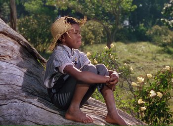 Movie still from “Show Boat” (1951), directed by George Sidney – A young boy sitting on a rock in a field; Medium shot, Low angle