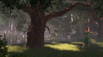Movie still from “Shrek” (2001), directed by Vicky Jenson – An image of a tree in the middle of the forest; Extreme Wide shot, High angle