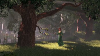 Movie still from “Shrek” (2001), directed by Vicky Jenson – Extreme Wide shot, High angle