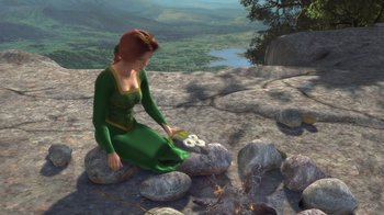 Movie still from “Shrek” (2001), directed by Vicky Jenson – A woman sitting on some rocks by a fire; Wide shot, High angle