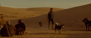 Movie still from “Siberia” (2020), directed by Abel Ferrara – A man and two dogs running in the sand; Wide shot, High angle