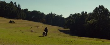 Movie still from “Siberia” (2020), directed by Abel Ferrara – A person walking with a dog in a field; Extreme Wide shot, Low angle
