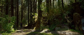 Movie still from “Siberia” (2020), directed by Abel Ferrara – A person sitting on a bench in the woods; Extreme Wide shot, Low angle