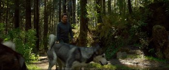 Movie still from “Siberia” (2020), directed by Abel Ferrara – A man walking a dog in the woods; Wide shot, Low angle