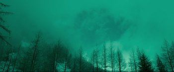 Movie still from “Siberia” (2020), directed by Abel Ferrara – A group of trees in front of a cloudy sky; Extreme Wide shot, Low angle