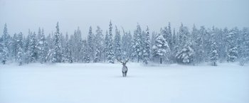 Movie still from “A Boy Called Christmas” (2021), directed by Gil Kenan – A deer standing in the middle of a snow covered field; Extreme Wide shot, Low angle