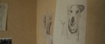 Movie still from “Sightseers” (2012), directed by Ben Wheatley – An image of a dog on the wall; Extreme Close Up shot, High angle