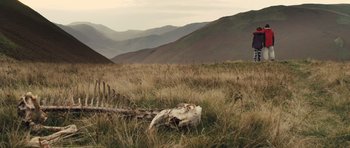 Movie still from “Sightseers” (2012), directed by Ben Wheatley – An animal skull in the middle of a grassy field; Extreme Wide shot, Low angle