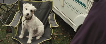 Movie still from “Sightseers” (2012), directed by Ben Wheatley – A white dog sitting on top of a folding chair; Medium shot, High angle