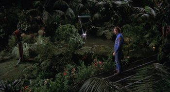 Movie still from “Silent Running” (1972), directed by Douglas Trumbull – A man standing on a bridge near a body of water surrounded by plants; Wide shot, High angle
