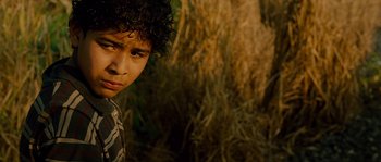 Movie still from “Sin Nombre” (2009), directed by Cary Joji Fukunaga – A young man with curly hair standing in front of a field; Close Up shot, High angle