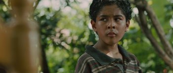 Movie still from “Sin Nombre” (2009), directed by Cary Joji Fukunaga – A young boy is standing in front of a tree; Close Up shot, Low angle