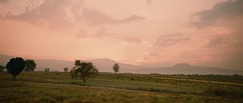 Movie still from “Sin Nombre” (2009), directed by Cary Joji Fukunaga – A tree in the middle of an open field at sunset; Extreme Wide shot, Low angle