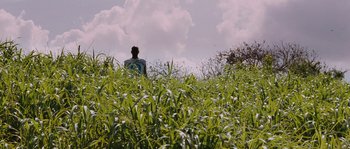 Movie still from “Sin Nombre” (2009), directed by Cary Joji Fukunaga – A person sitting in a field of tall green grass; Extreme Wide shot, Low angle