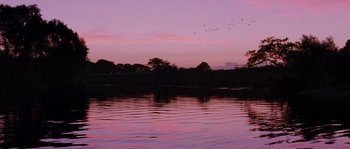 Movie still from “Sin Nombre” (2009), directed by Cary Joji Fukunaga – A flock of birds flying over a body of water at sunset; Extreme Wide shot, Low angle