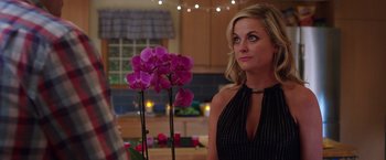 Movie still from “Sisters” (2015), directed by Jason Moore – Amy poehler in front of a pink flower in a kitchen; Close Up shot, Over the shoulder angle
