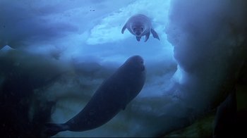 Movie still from “Smilla's Sense of Snow” (1997), directed by Bille August – A seal and a penguin swimming in the water; Wide shot, High angle