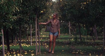 Movie still from “Smooth Talk” (1985), directed by Joyce Chopra – A woman in a plaid shirt is picking apples from a tree; Wide shot, High angle