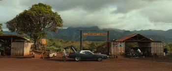 Movie still from “Snatched” (2017), directed by Jonathan Levine – A man standing next to a car on a dirt road; Extreme Wide shot, Low angle