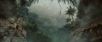 Movie still from “Snatched” (2017), directed by Jonathan Levine – A view of a forest with trees in the background; Extreme Wide shot, High angle