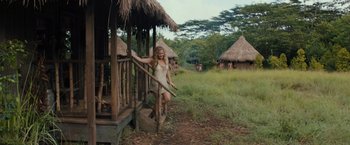 Movie still from “Snatched” (2017), directed by Jonathan Levine – A woman standing on a porch of a hut; Wide shot, High angle