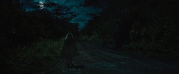 Movie still from “Snatched” (2017), directed by Jonathan Levine – A woman standing on the side of a road at night; Extreme Wide shot, Low angle