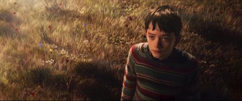 Movie still from “A Monster Calls” (2016), directed by J.A. Bayona – A boy in a striped sweater standing in the grass; Close Up shot, High angle
