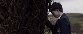 Movie still from “A Monster Calls” (2016), directed by J.A. Bayona – A young boy touching a tree with his hand; Medium shot, Low angle