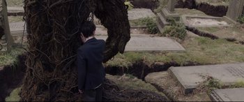 Movie still from “A Monster Calls” (2016), directed by J.A. Bayona – A man standing next to a tree in a cemetery; Medium shot, High angle