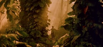 Movie still from “South Pacific” (1958), directed by Joshua Logan – A man standing in the middle of a forest; Extreme Wide shot, Low angle