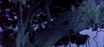 Movie still from “South Pacific” (1958), directed by Joshua Logan – A man sitting on top of a large tree branch; Wide shot, Low angle
