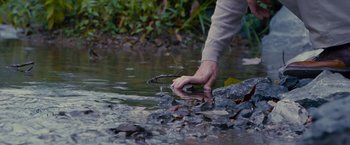 Movie still from “Stoker” (2013), directed by Park Chan-wook – A person holding a fish in a river; Close Up shot, High angle