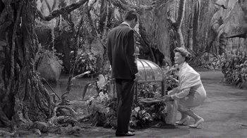 Movie still from “Suddenly, Last Summer” (1959), directed by Joseph L. Mankiewicz – A man and a woman are standing in the woods; Wide shot, High angle